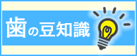 歯の豆知識