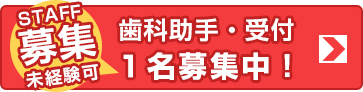 歯科助手・受付募集中